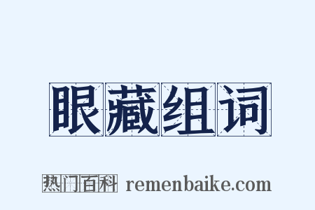 眼藏组词是什么意思的图片